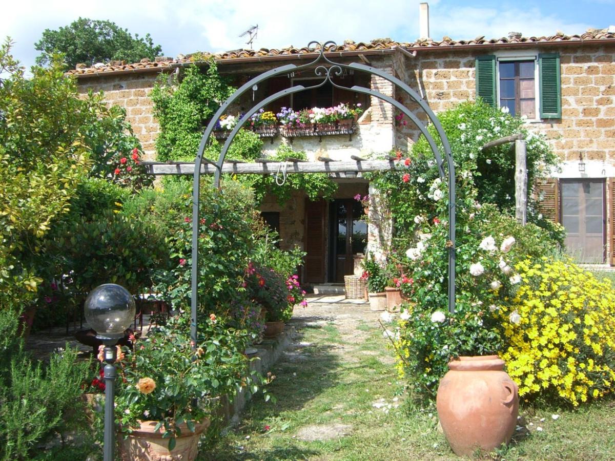Le Querciolaie Monte Cavallo - Upper Apartment Saturnia Exteriér fotografie