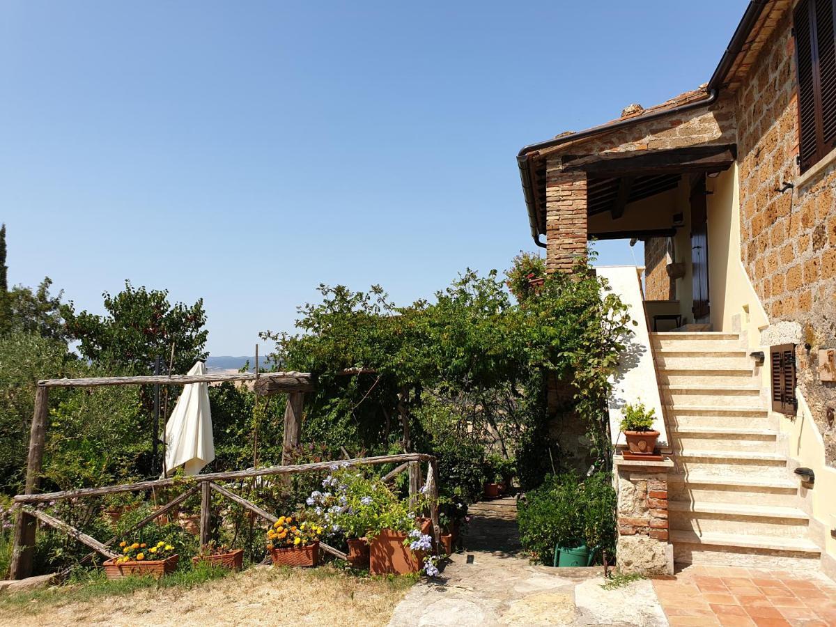 Le Querciolaie Monte Cavallo - Upper Apartment Saturnia Exteriér fotografie