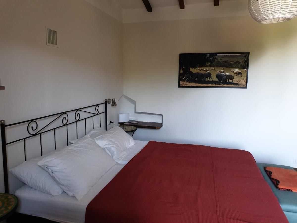 Le Querciolaie Monte Cavallo - Upper Apartment Saturnia Exteriér fotografie