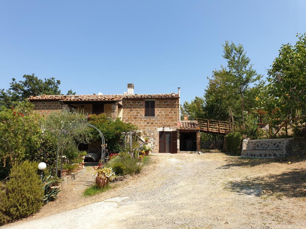 Le Querciolaie Monte Cavallo - Upper Apartment Saturnia Exteriér fotografie